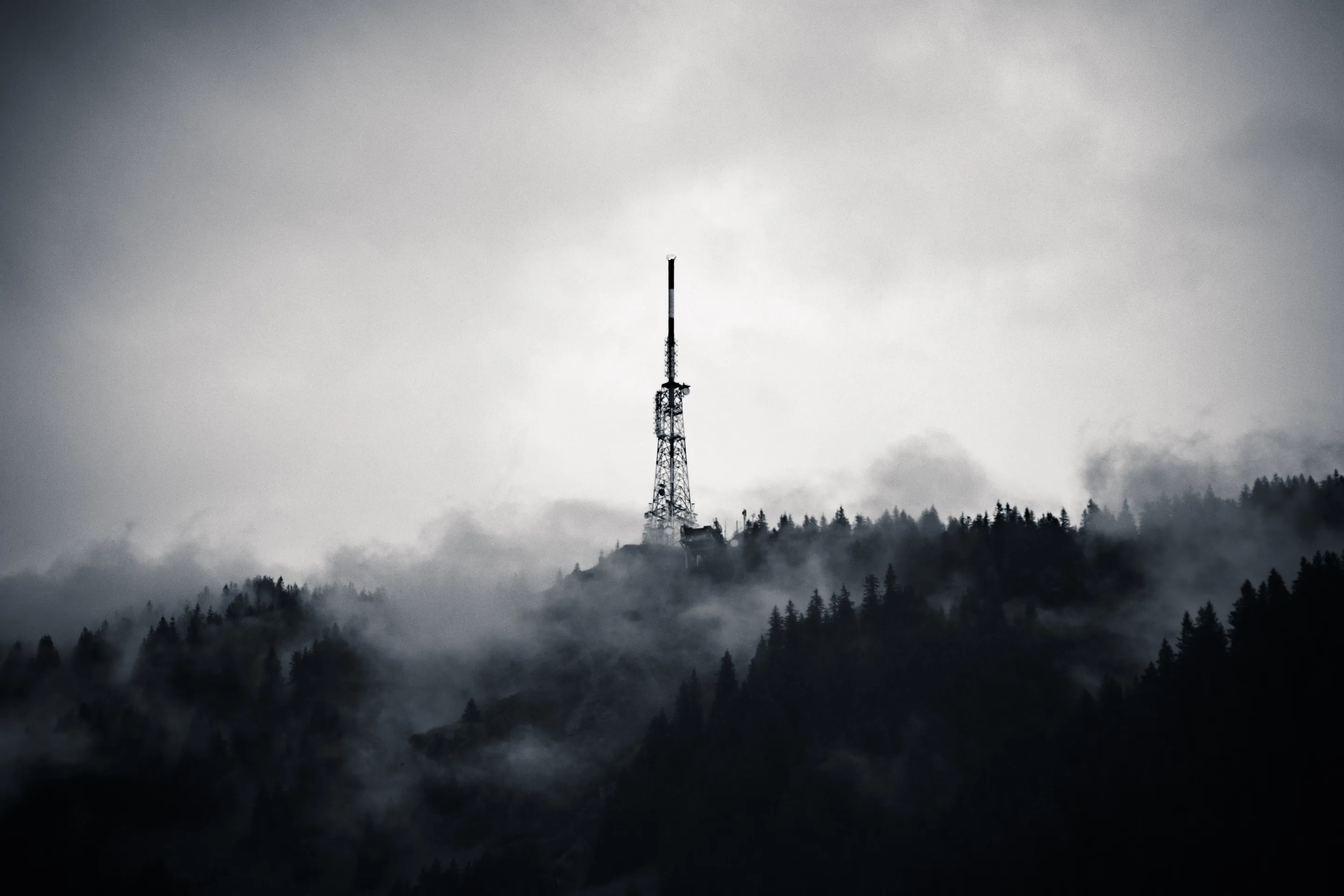 Tall radio tower rising above fog-covered forest, black and white.