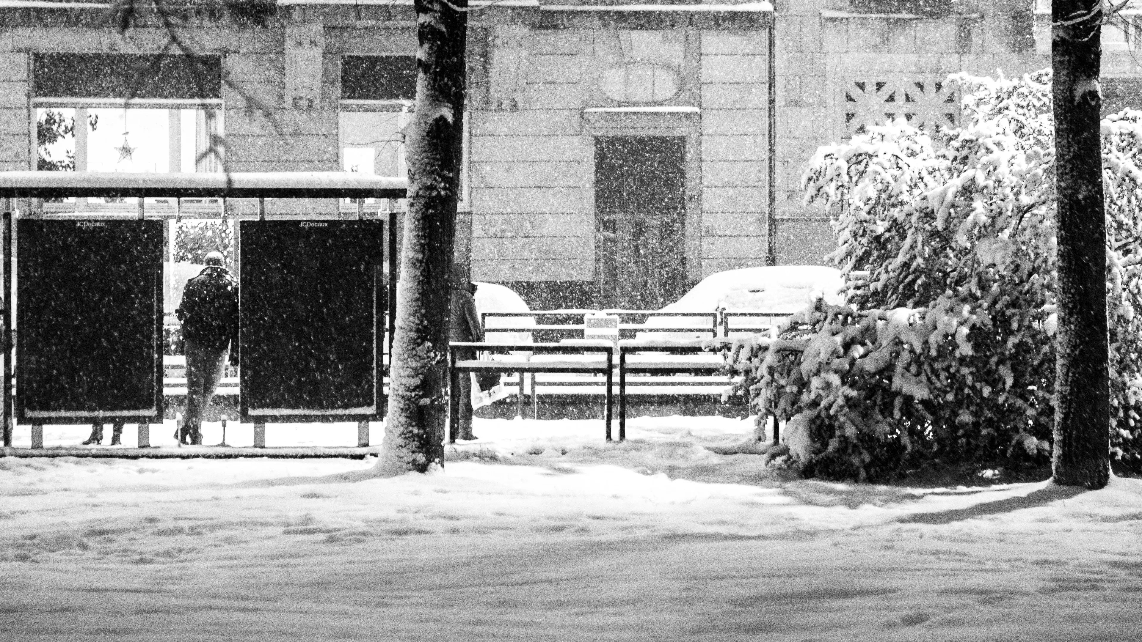A person waits at a snow-covered bus stop with benches, trees, and buildings in background.