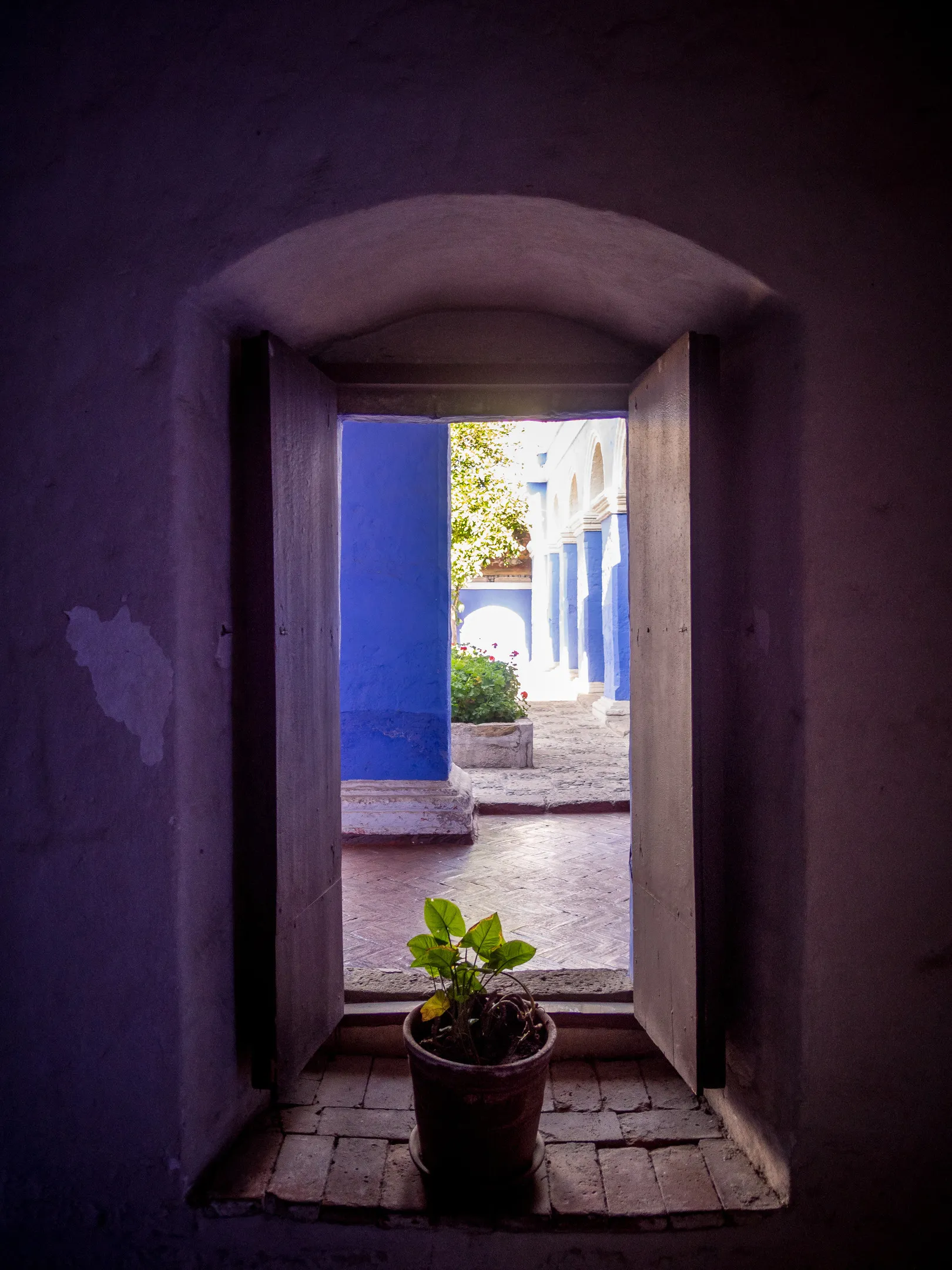 A potted plant in an archway, view of a blue courtyard beyond.
