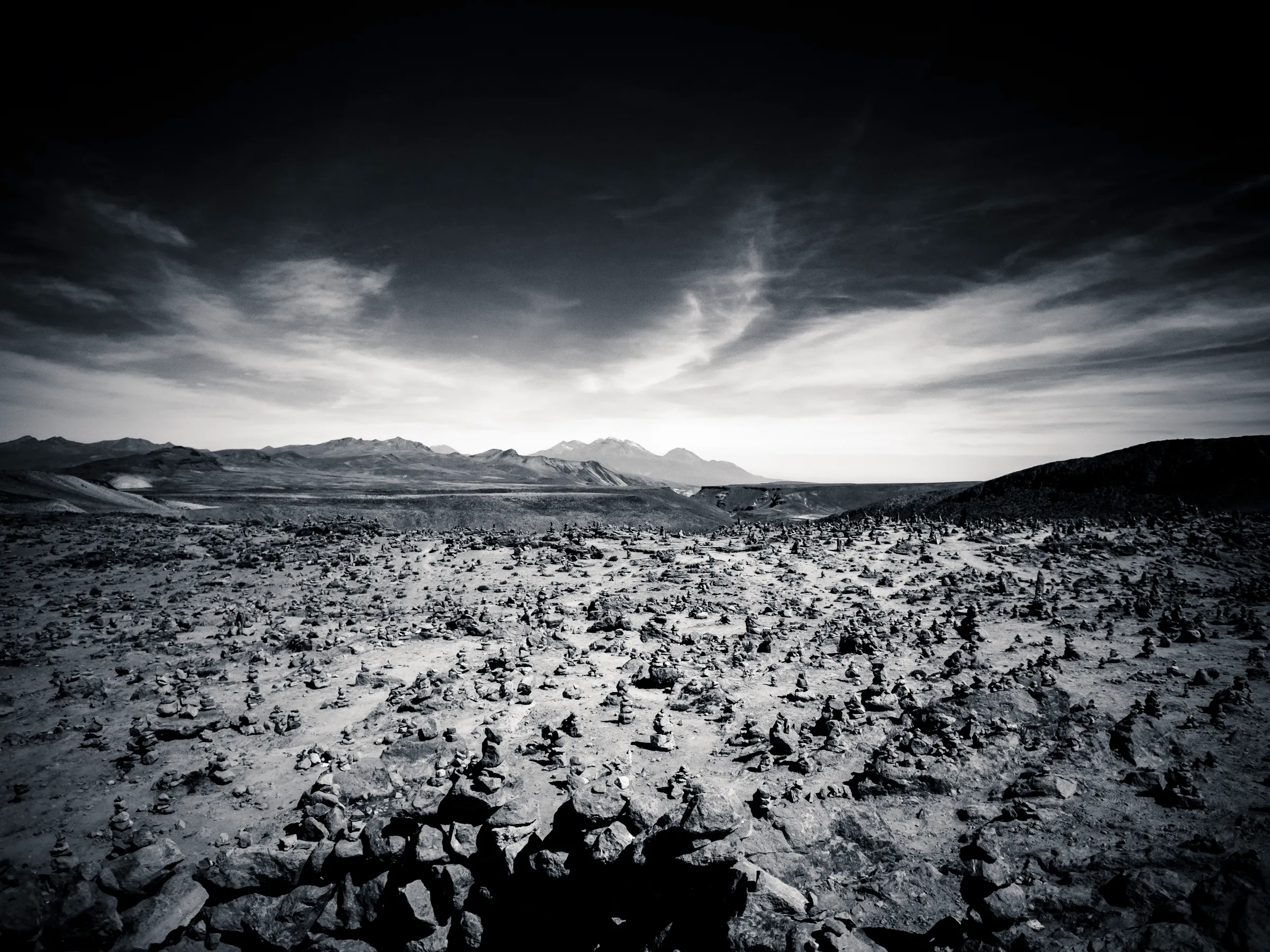Landscape of sparse desert shrubs with mountains on horizon at sunset, black and white.