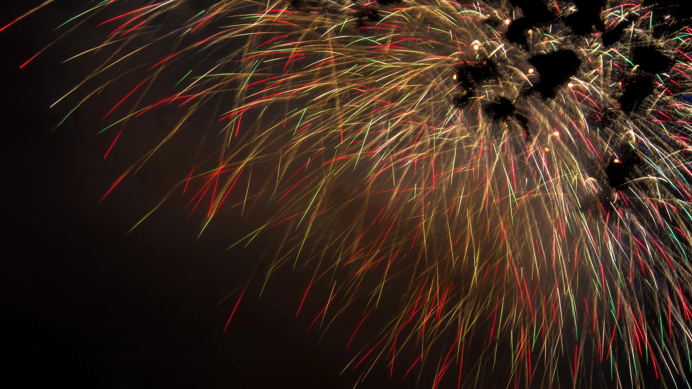 Colorful fireworks bursting against a dark night sky, with red, yellow, and green streaks radiating outward.