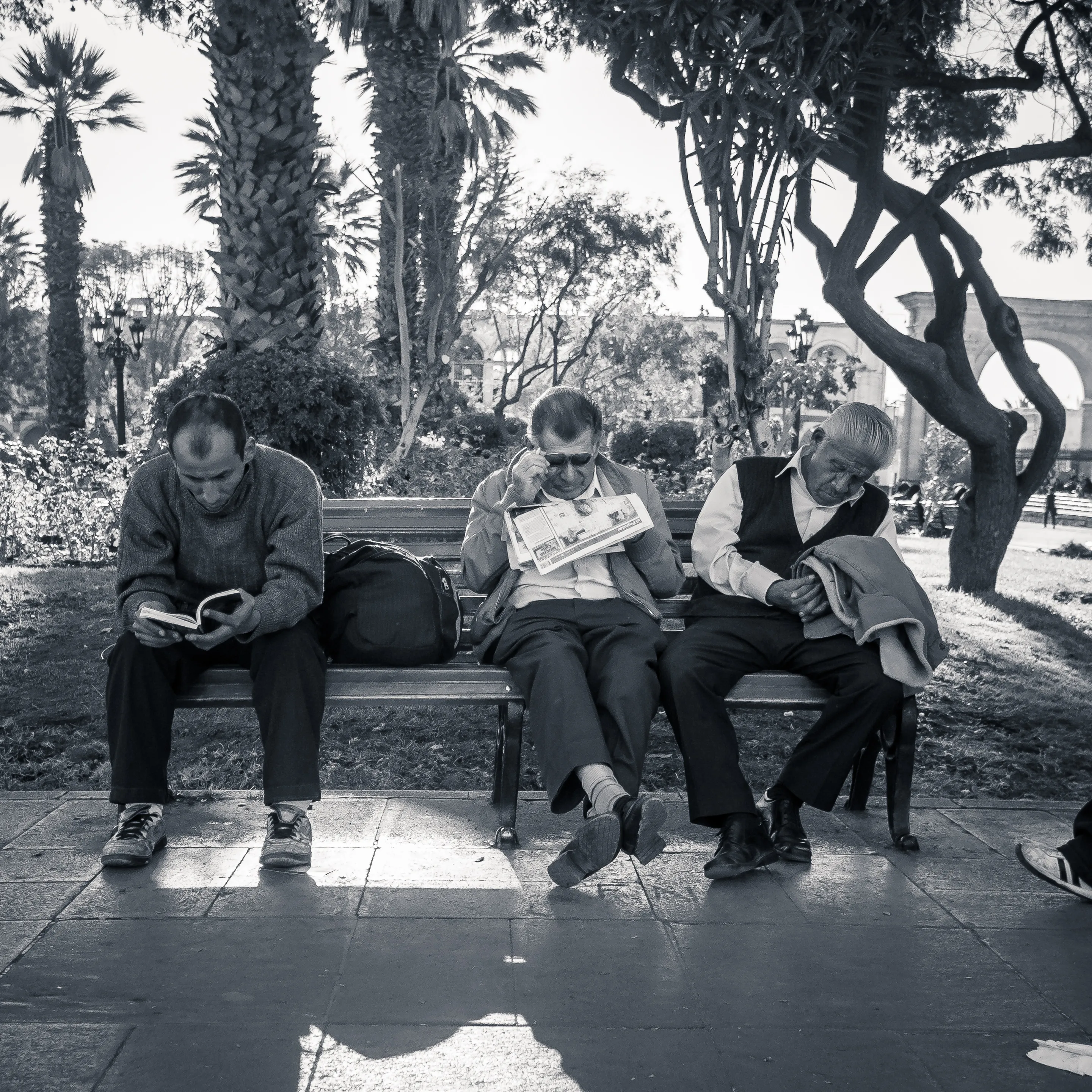 Three men sitting on a park bench, two reading, one with his hands in his lap, surrounded by trees and greenery.