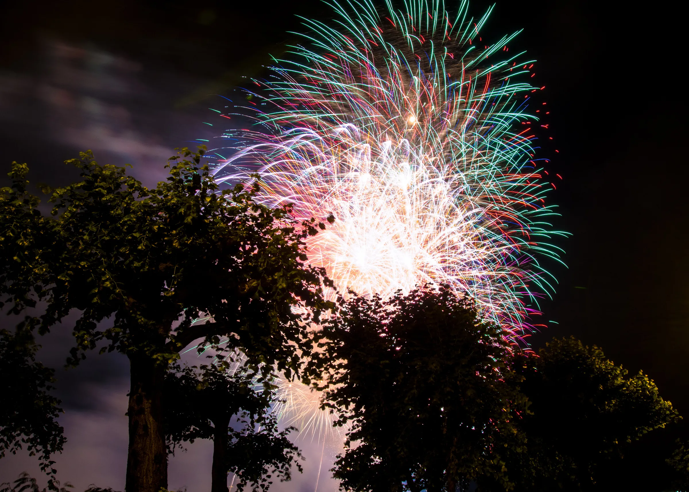 Colorful fireworks bursting above silhouetted trees at night, bright streaks of red, green, and white light.