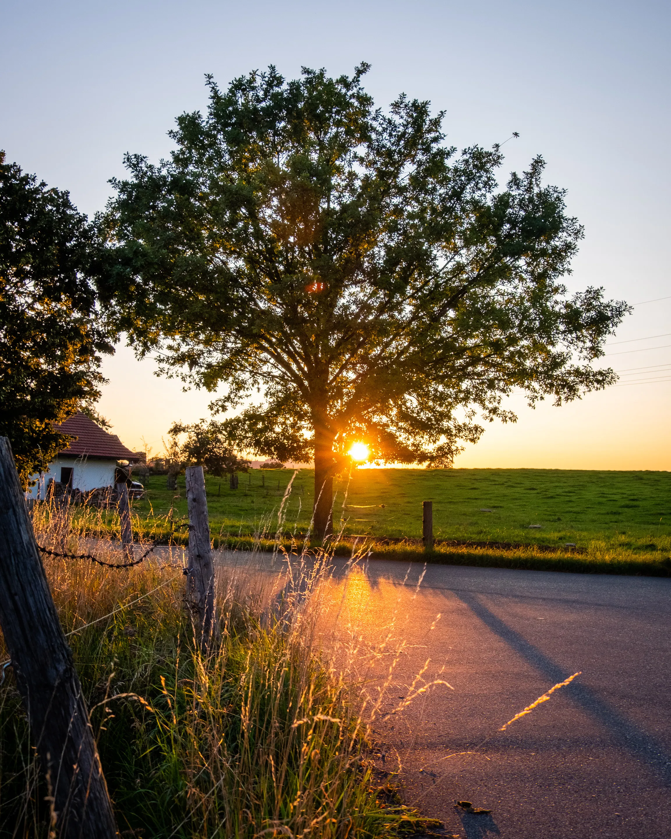Sunset behind a lone tree with a rustic fence in the foreground, casting long shadows on a country road.