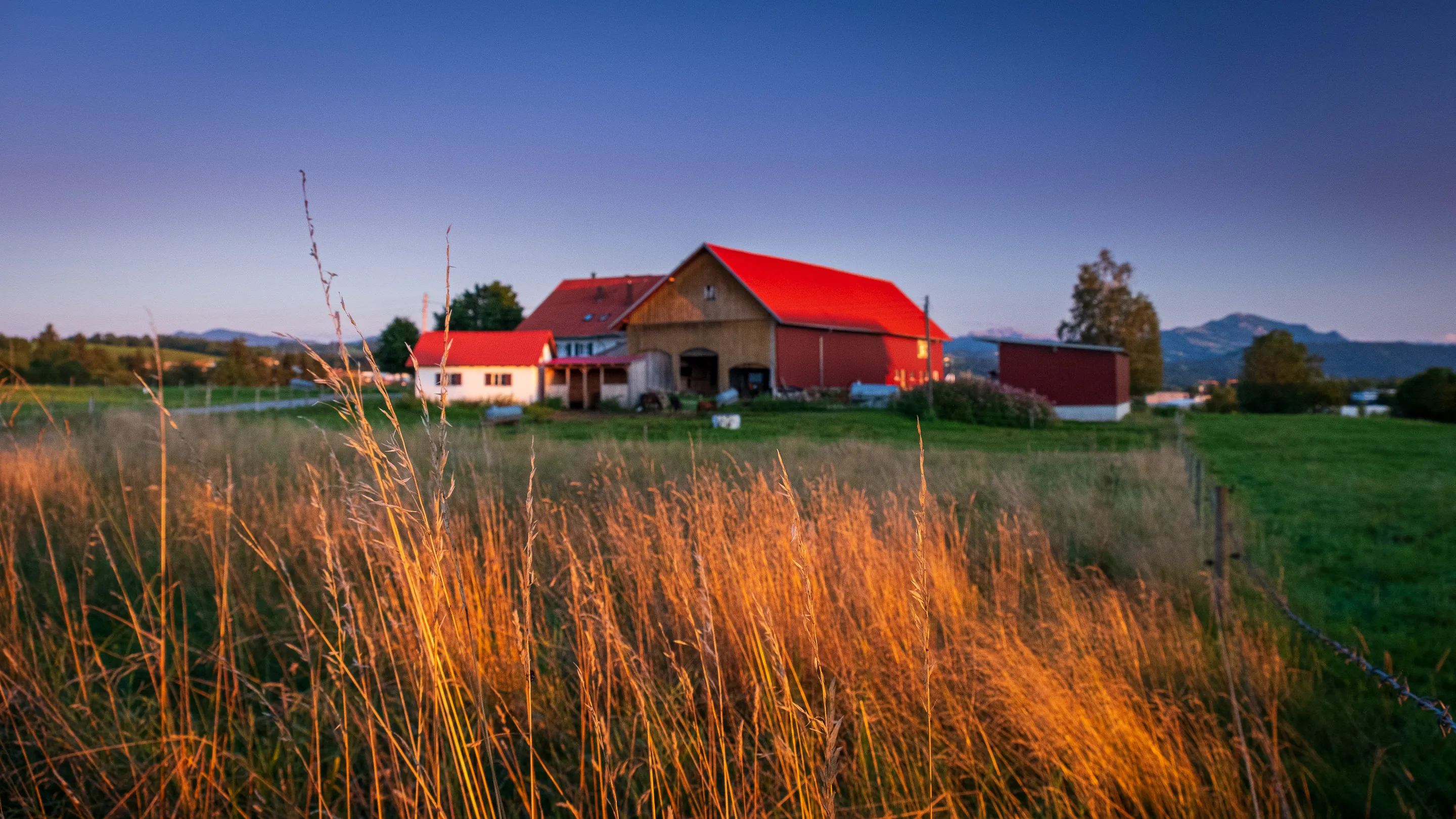 A farm with red-roofed buildings at dusk, surrounded by golden grass and distant mountains.