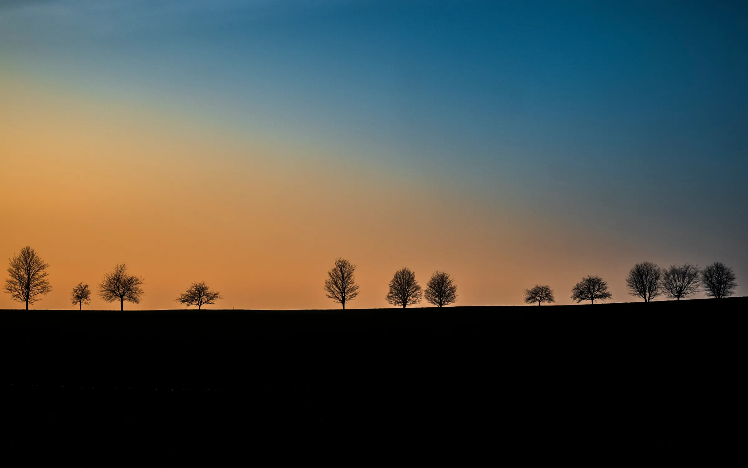 Silhouettes of bare trees against a gradient sunset sky, transitioning from orange to blue.