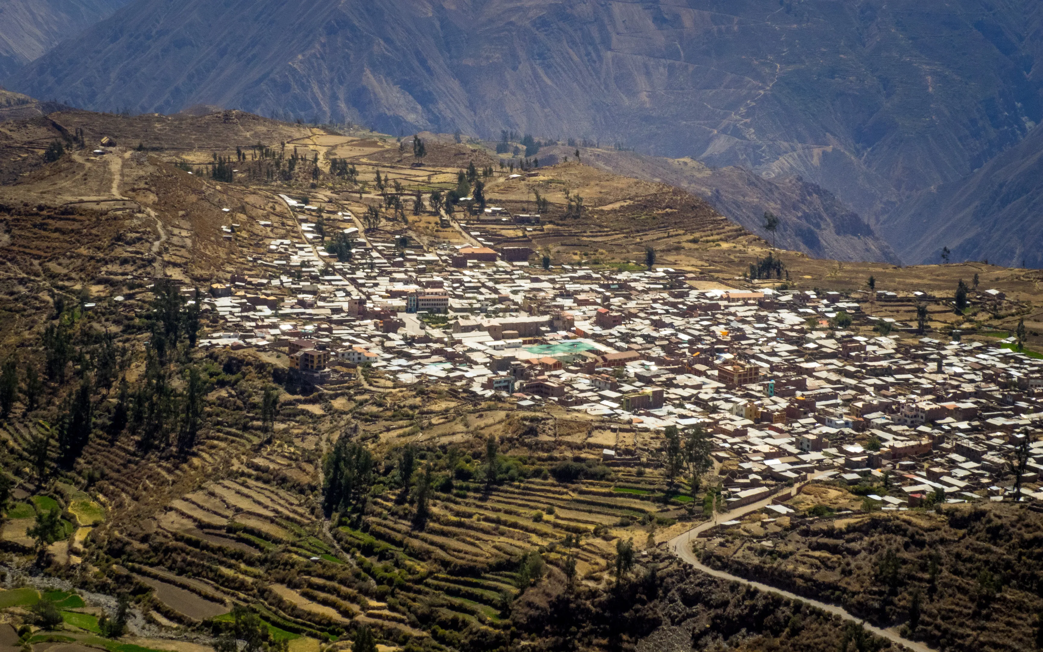 Mountainous village with terraced fields and scattered trees, surrounded by rugged terrain.