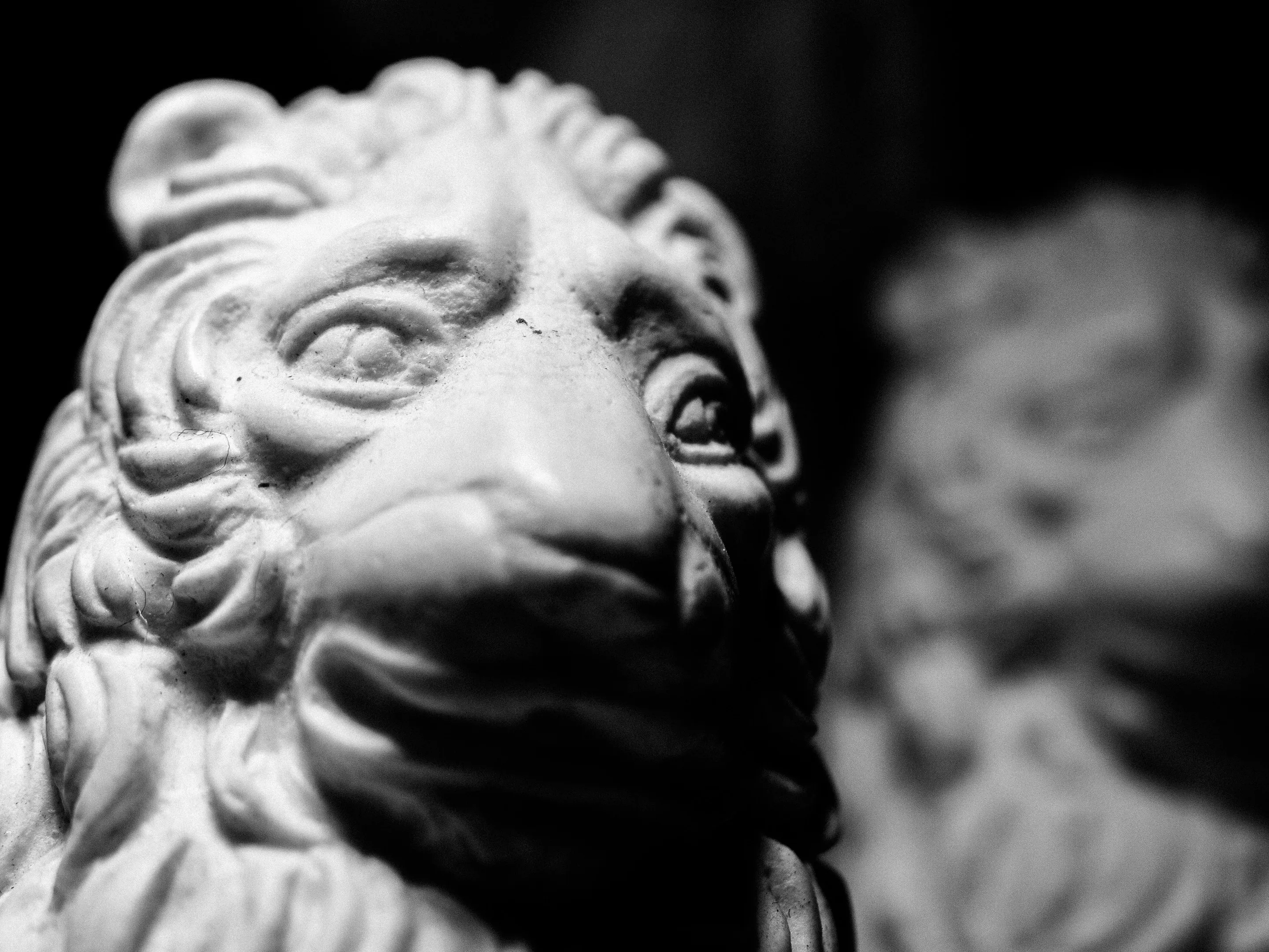 Sculpted stone lion head with detailed facial features in black and white.