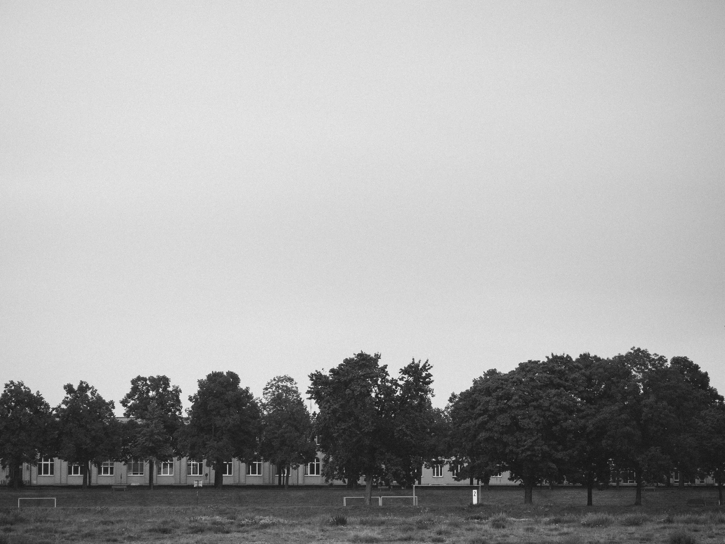 Row of trees with building in background, black and white.