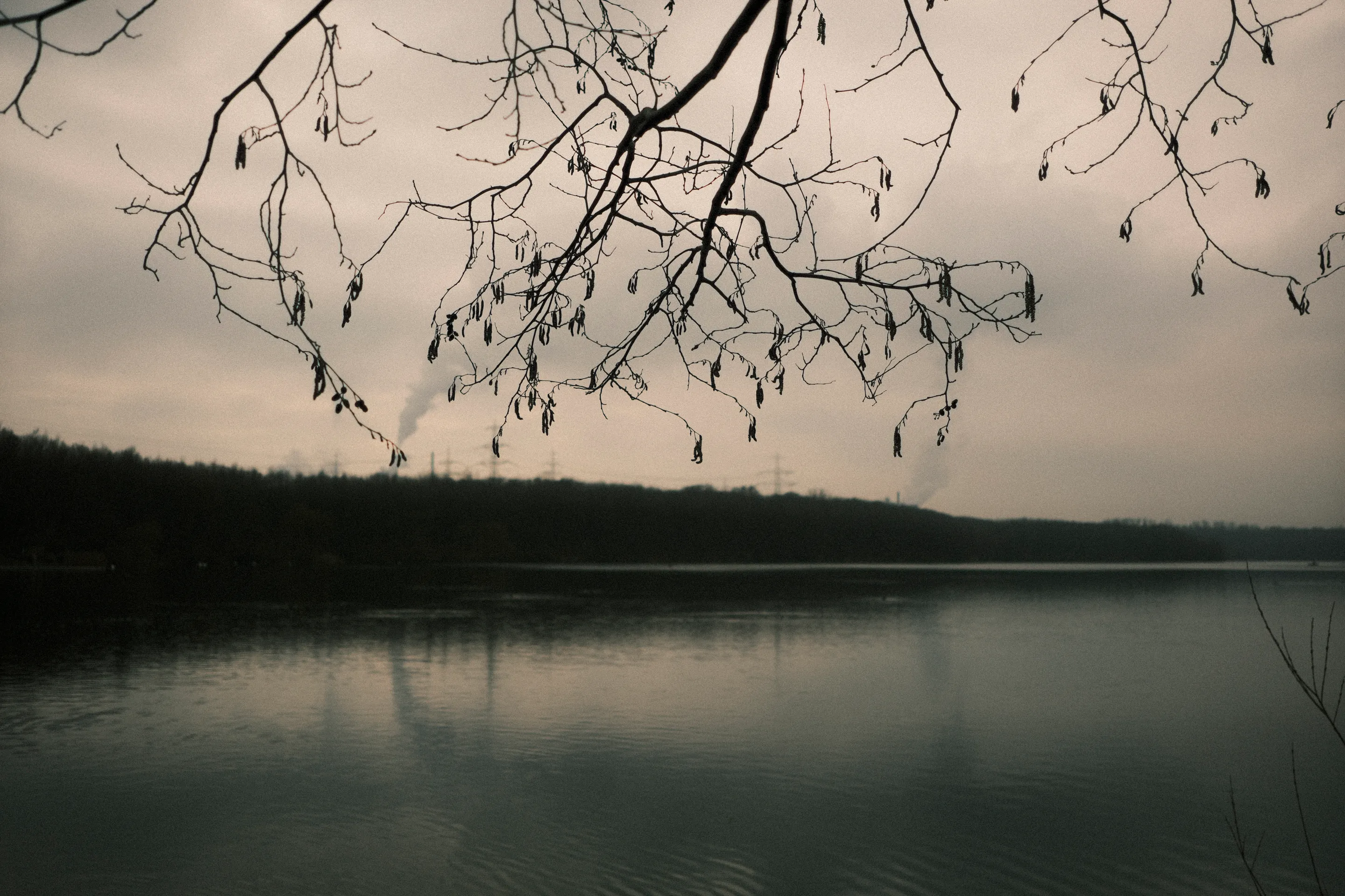 Bare tree branches over a calm lake, dark silhouette against a cloudy sky.