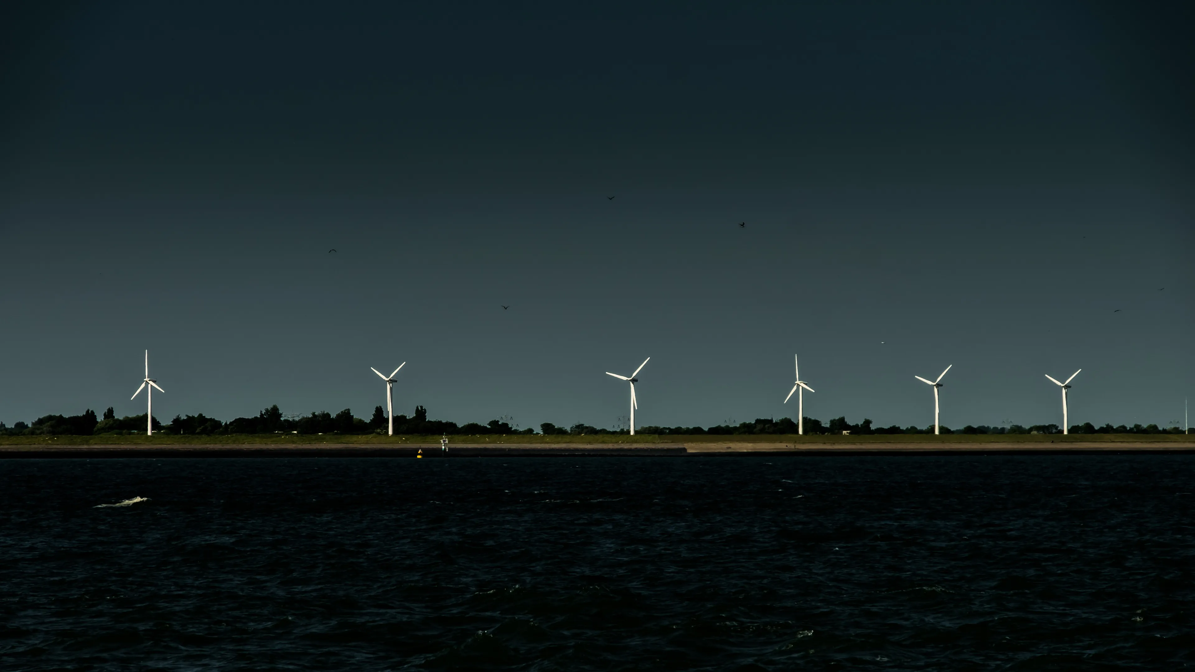 Five wind turbines on a dark, horizontal line against a starry night sky and calm water.