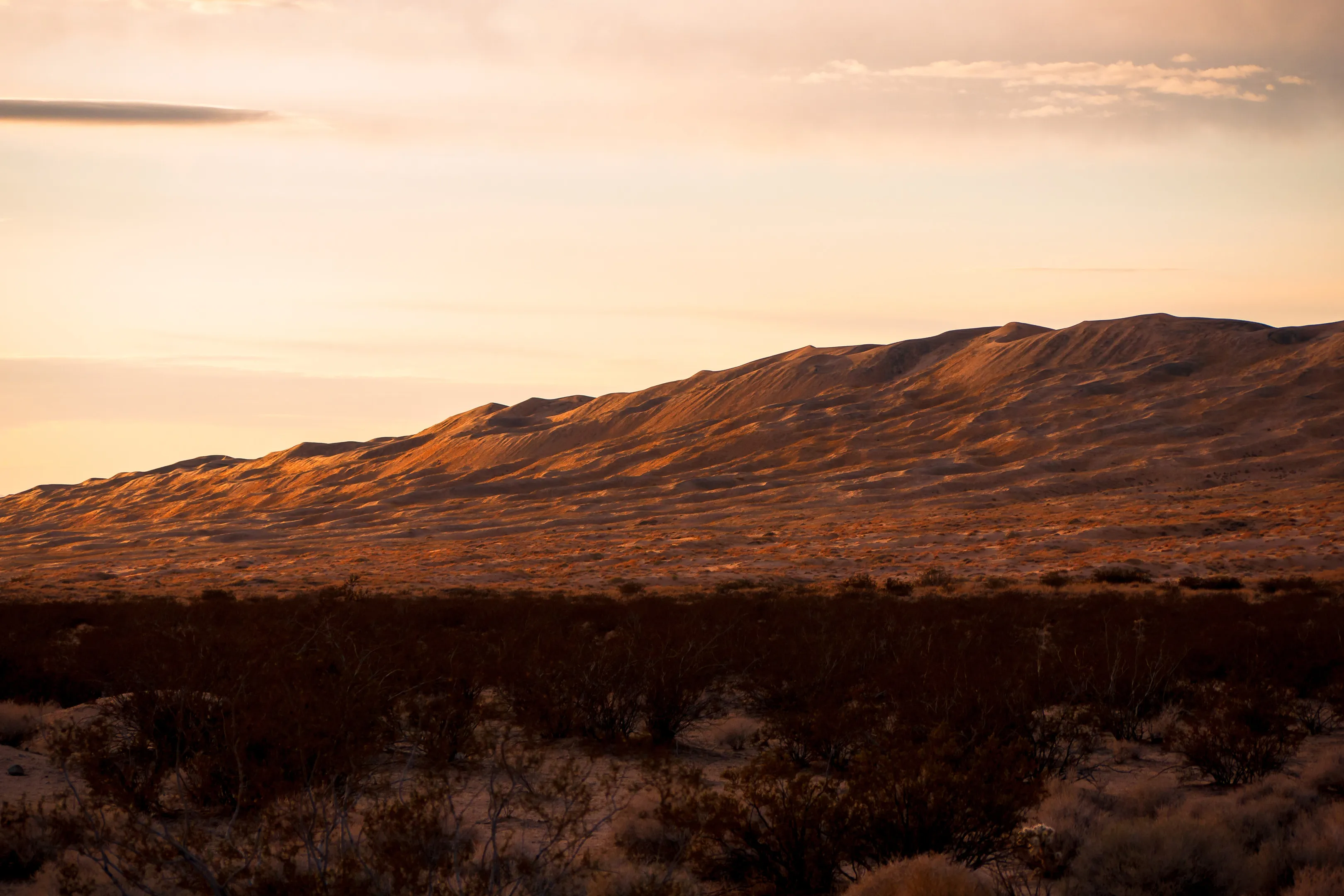 Golden light on desert hills at sunset, sparse vegetation in foreground.