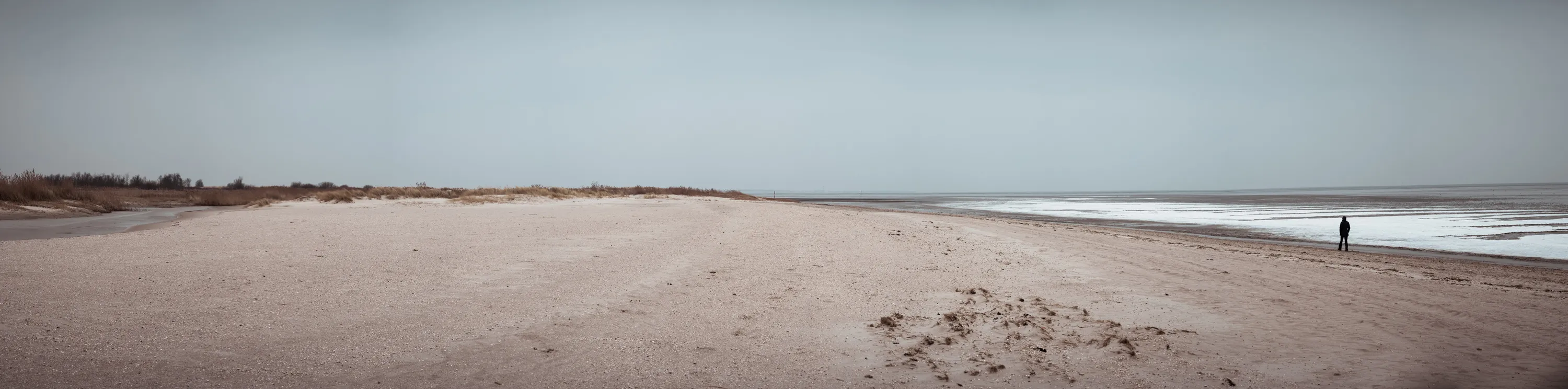 A solitary figure walking along a vast, empty beach with the ocean on the horizon.
