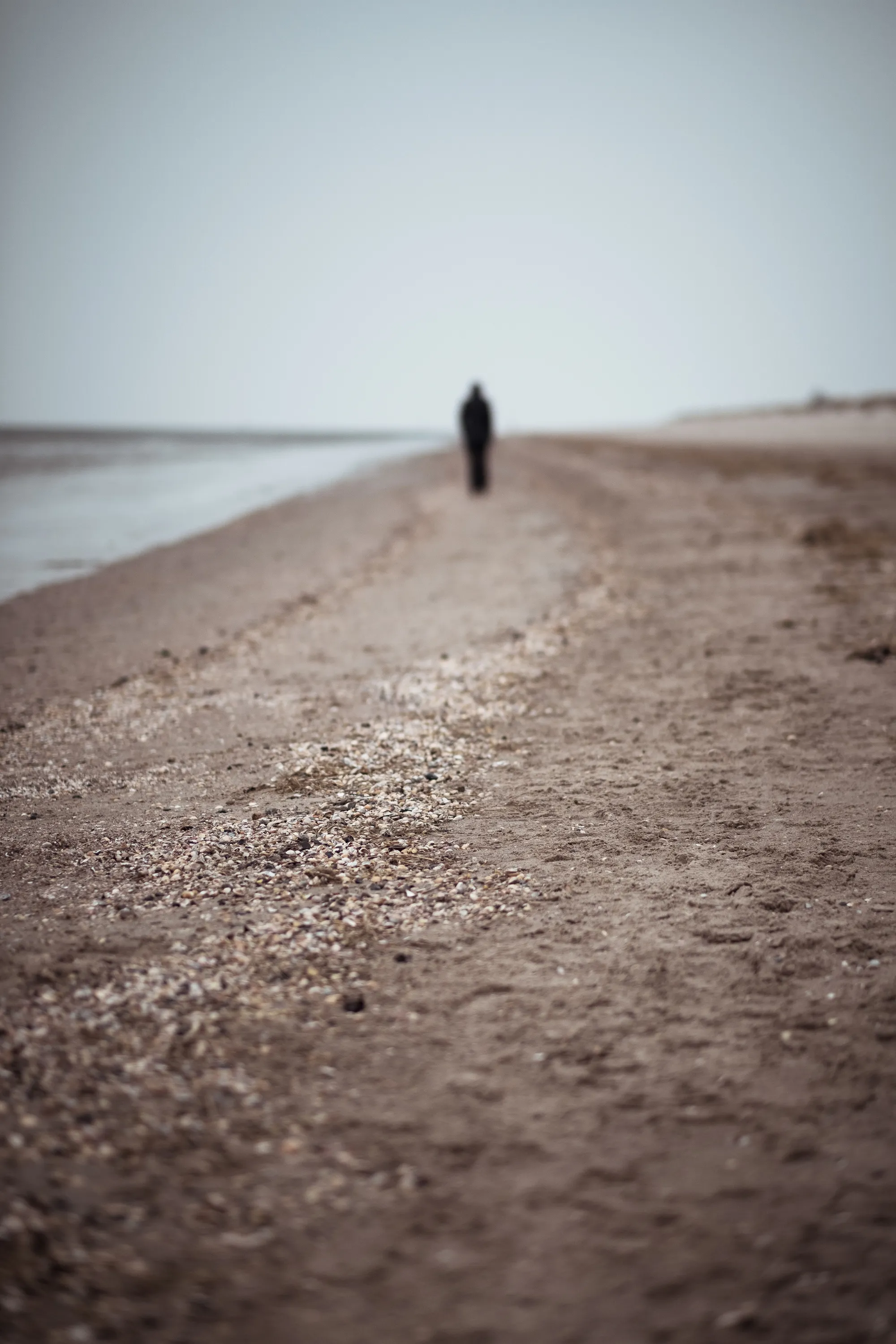 A solitary figure walking along an empty, pebbled beach with the sea on one side and a blurred background.