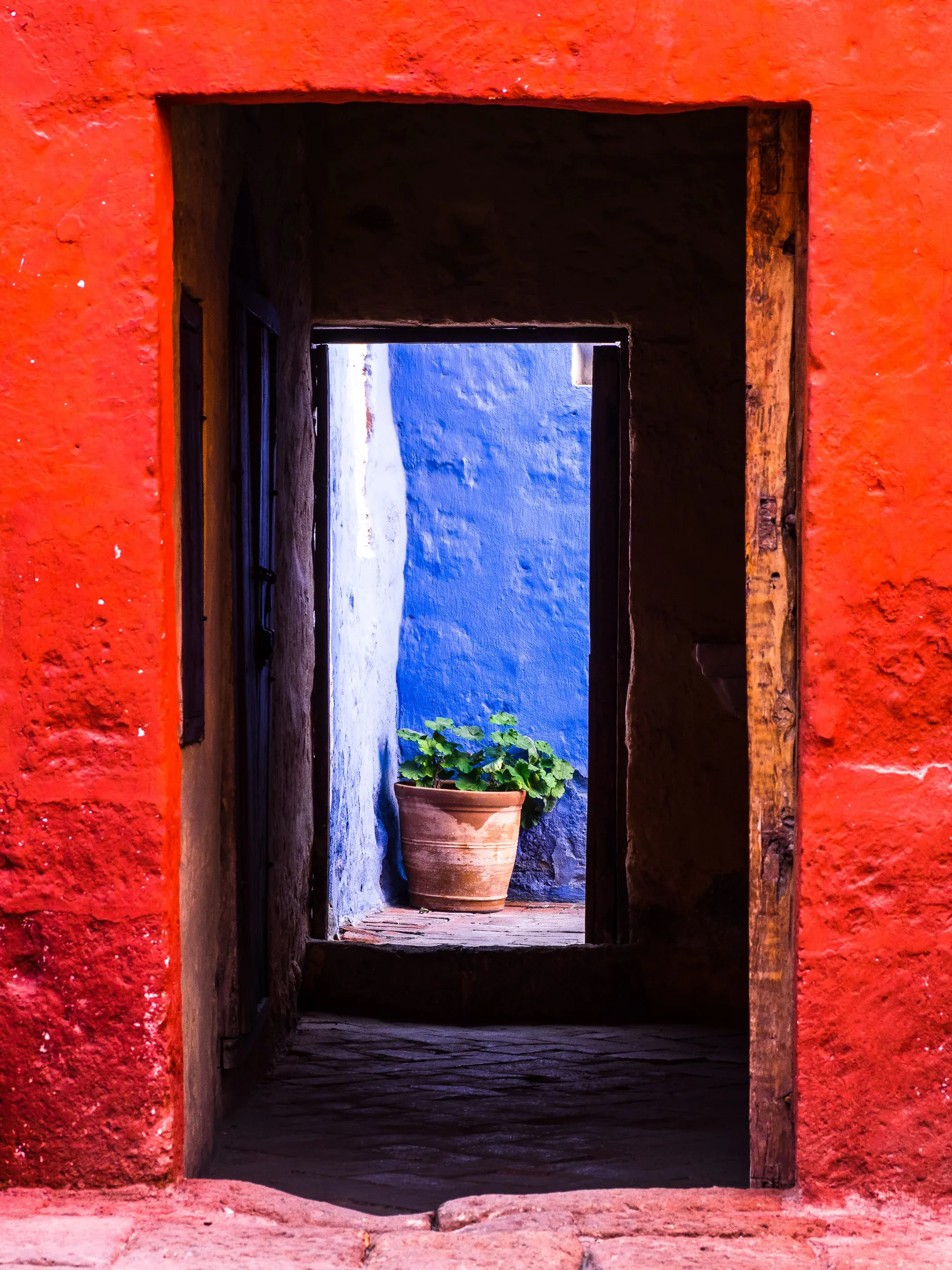 Bright red wall with open window revealing blue wall, potted plant on ledge, wooden frame.