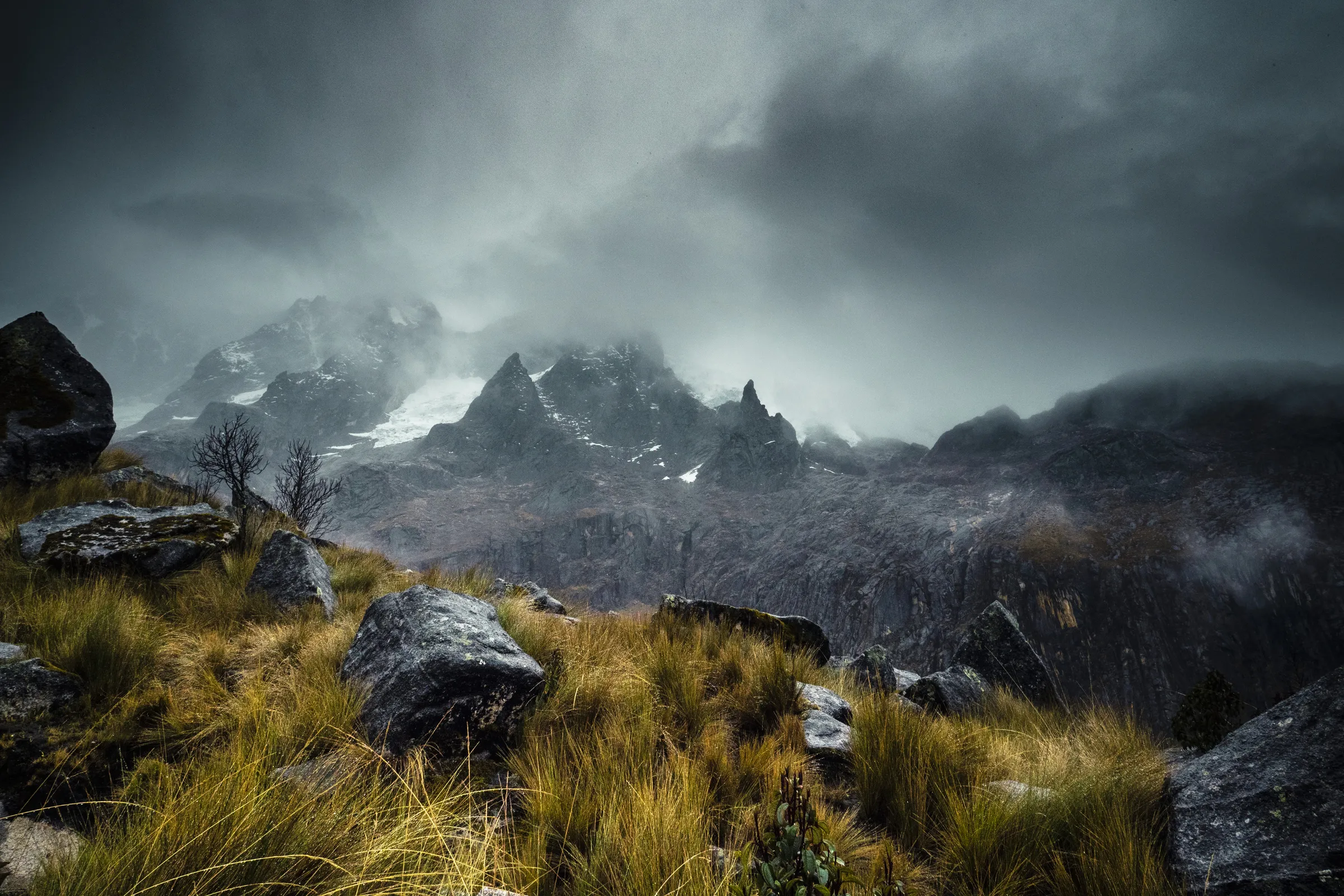 Misty mountains with rocky foreground, dramatic sky, and vibrant green grass.