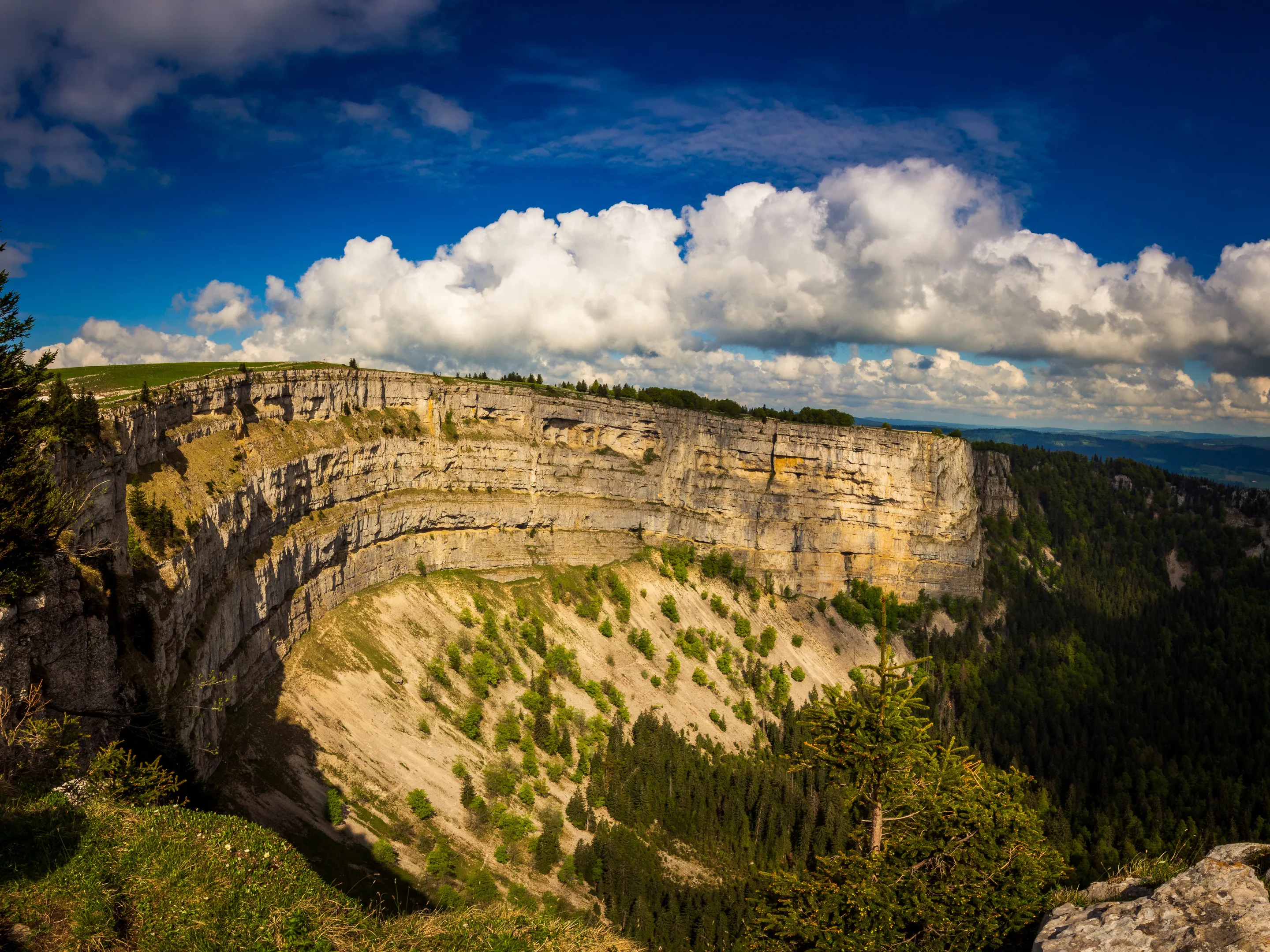 Vast canyon with steep cliffs, sparse vegetation, under a blue sky with white clouds.