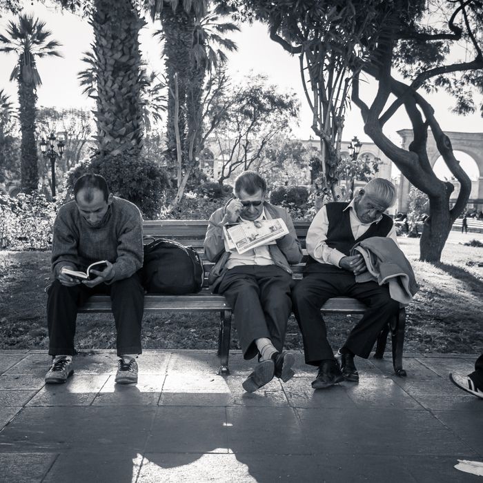 Three men sitting on a park bench, two reading, one with his hands in his lap, surrounded by trees and greenery.