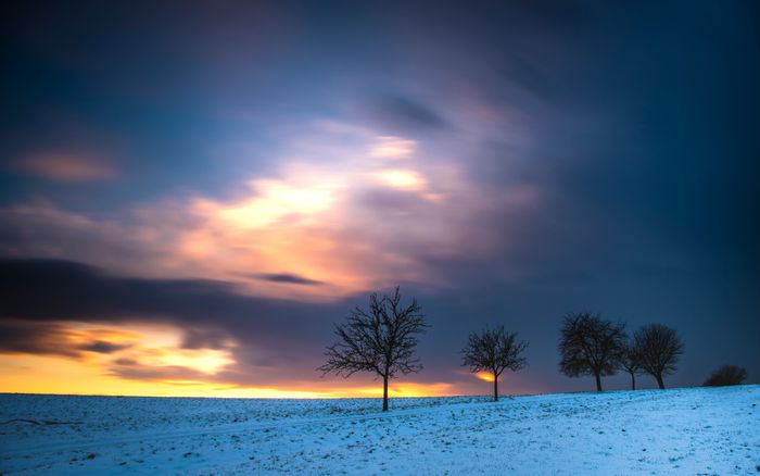 Sunset with three bare trees on a snowy hill.