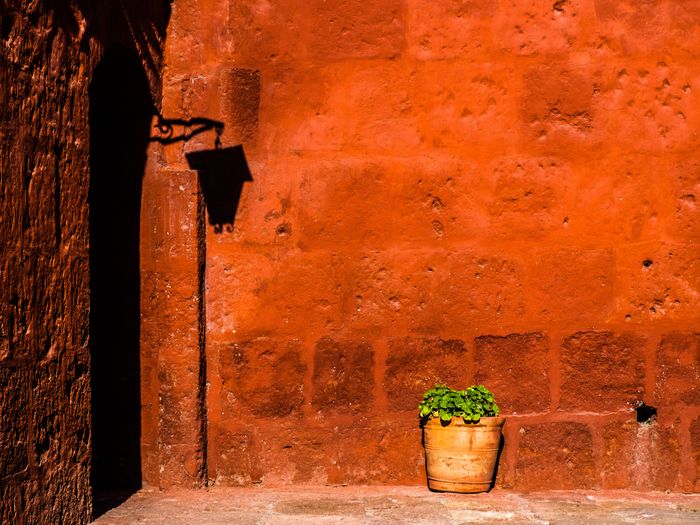 A terracotta wall with a black lamp mounted, casting shadow, and a potted plant at its base.