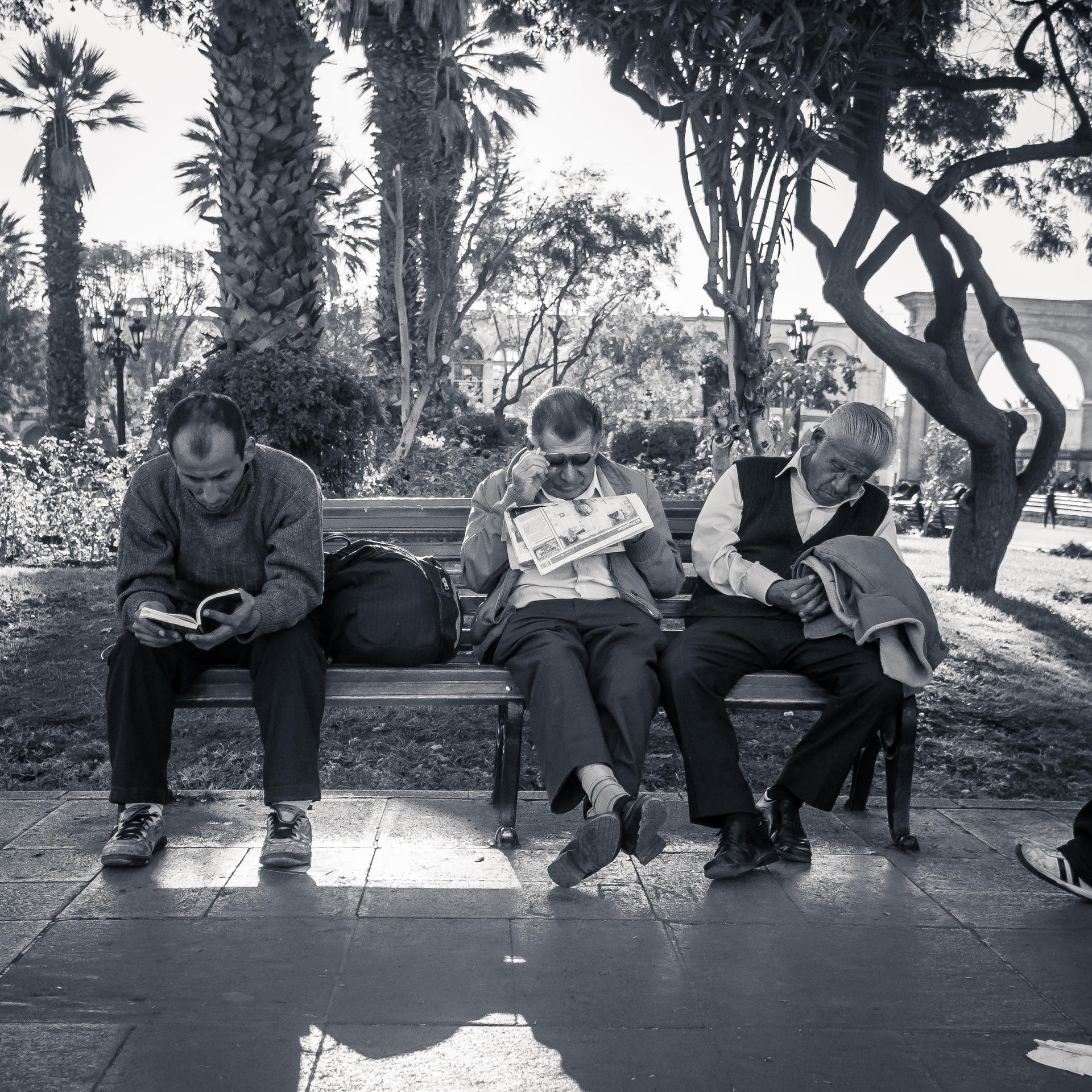 Three men sitting on a park bench, two reading, one with his hands in his lap, surrounded by trees and greenery.