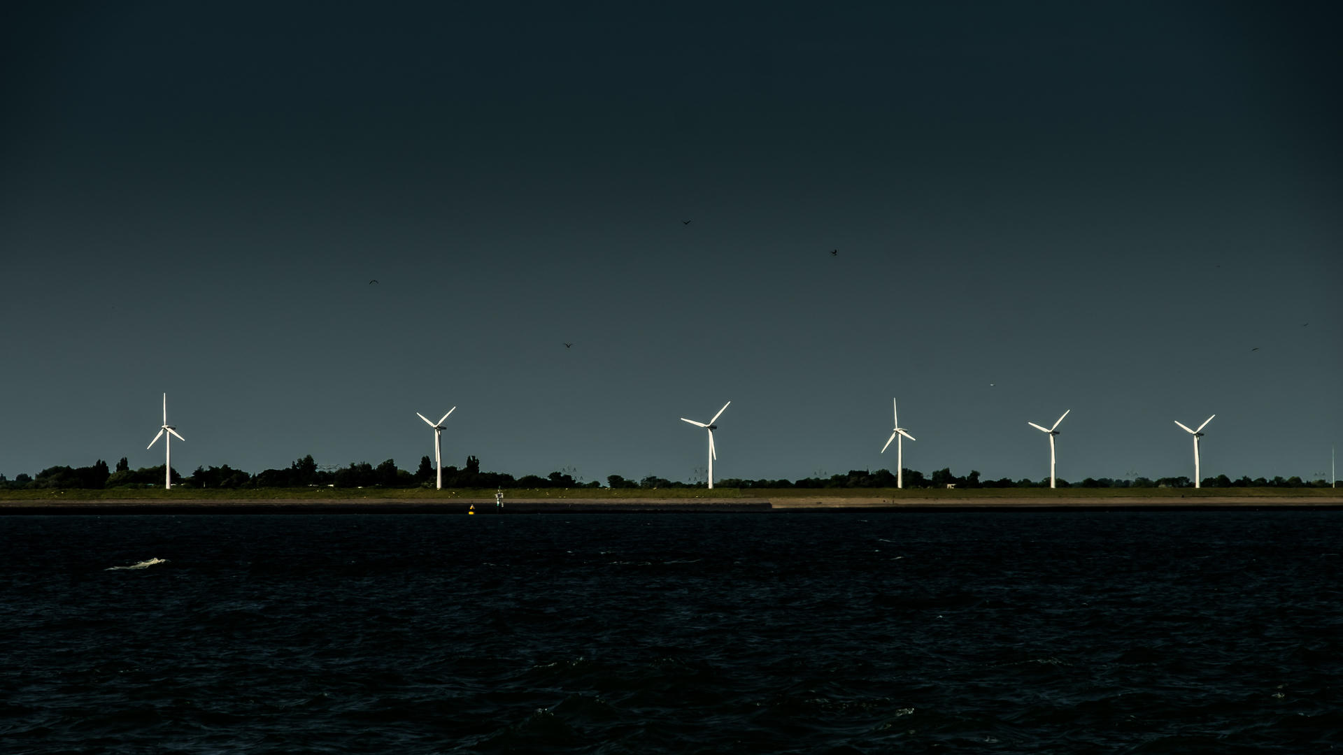Five wind turbines on a dark, horizontal line against a starry night sky and calm water.