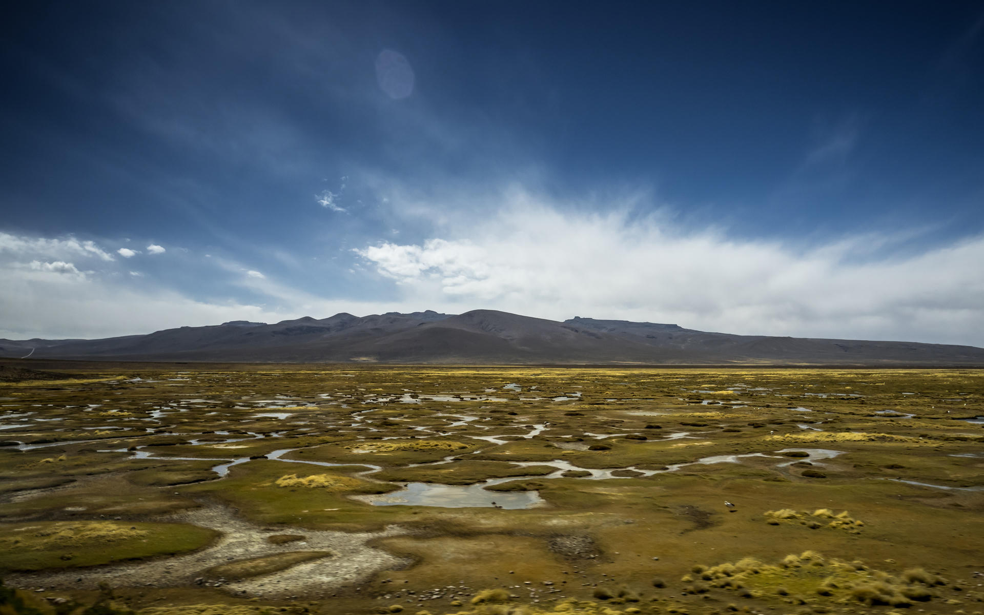 Wetland with scattered puddles, mountains in background, blue sky with clouds.