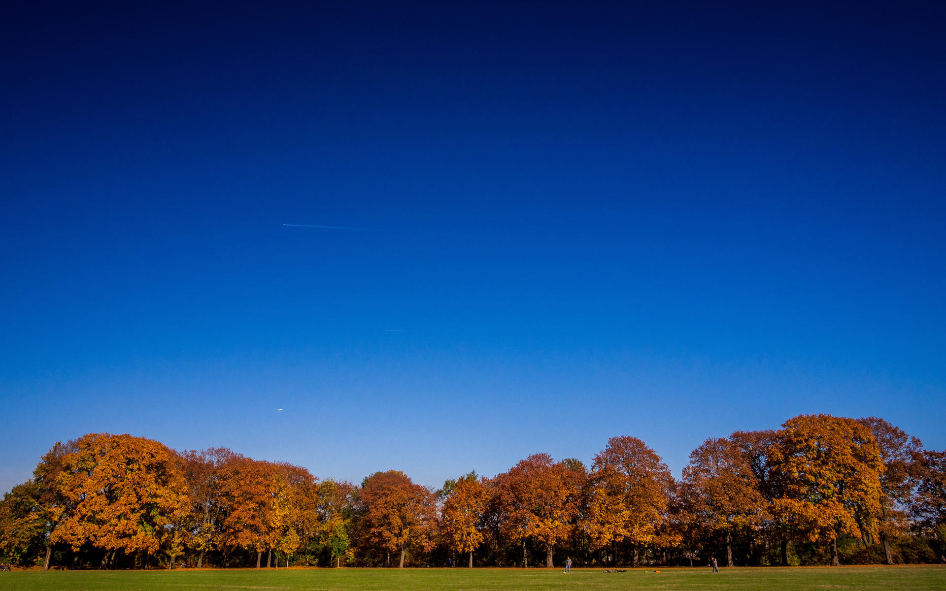Bright blue sky above vibrant autumn trees in a park at dusk.