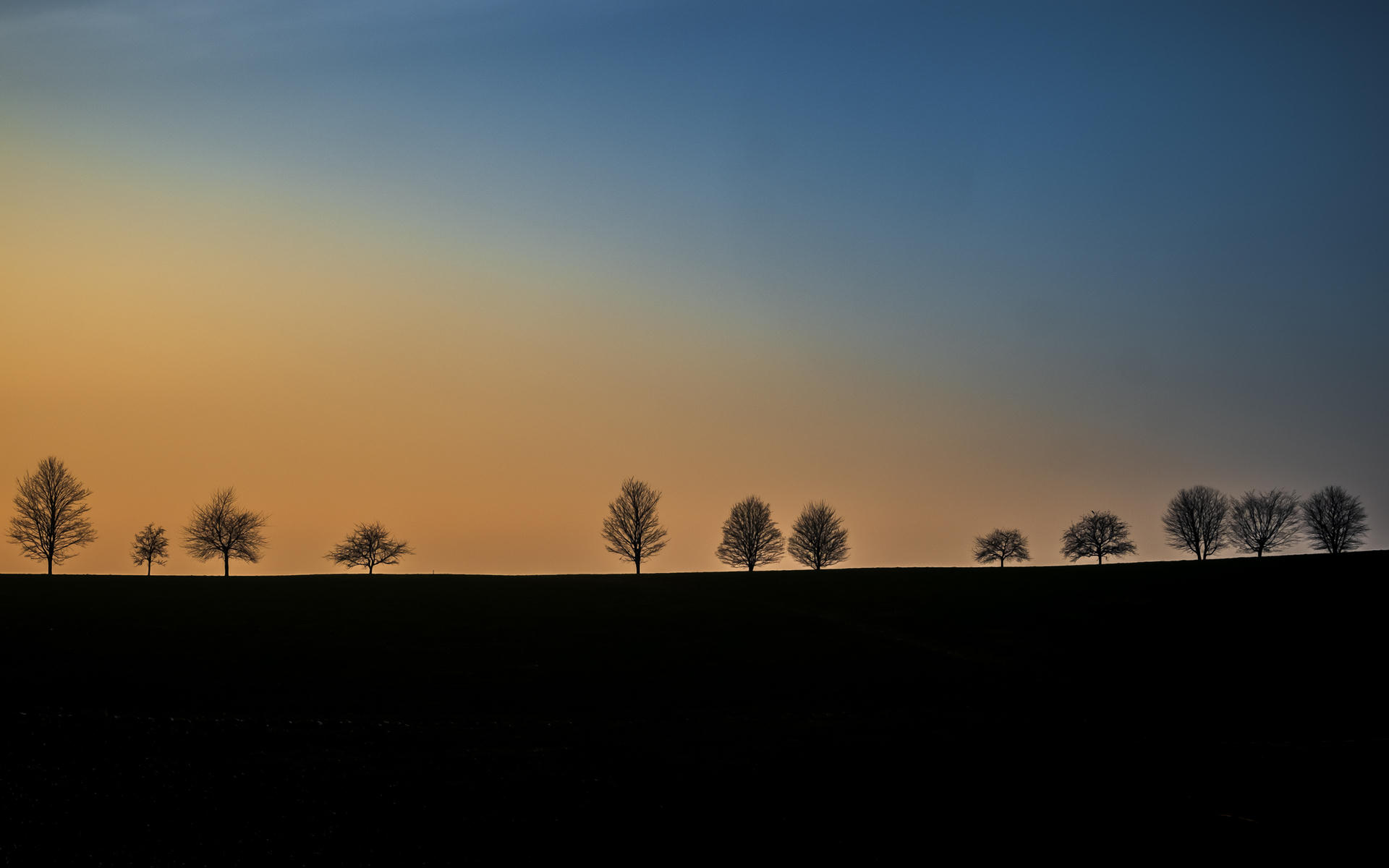 Silhouettes of bare trees against a gradient sunset sky, transitioning from orange to blue.