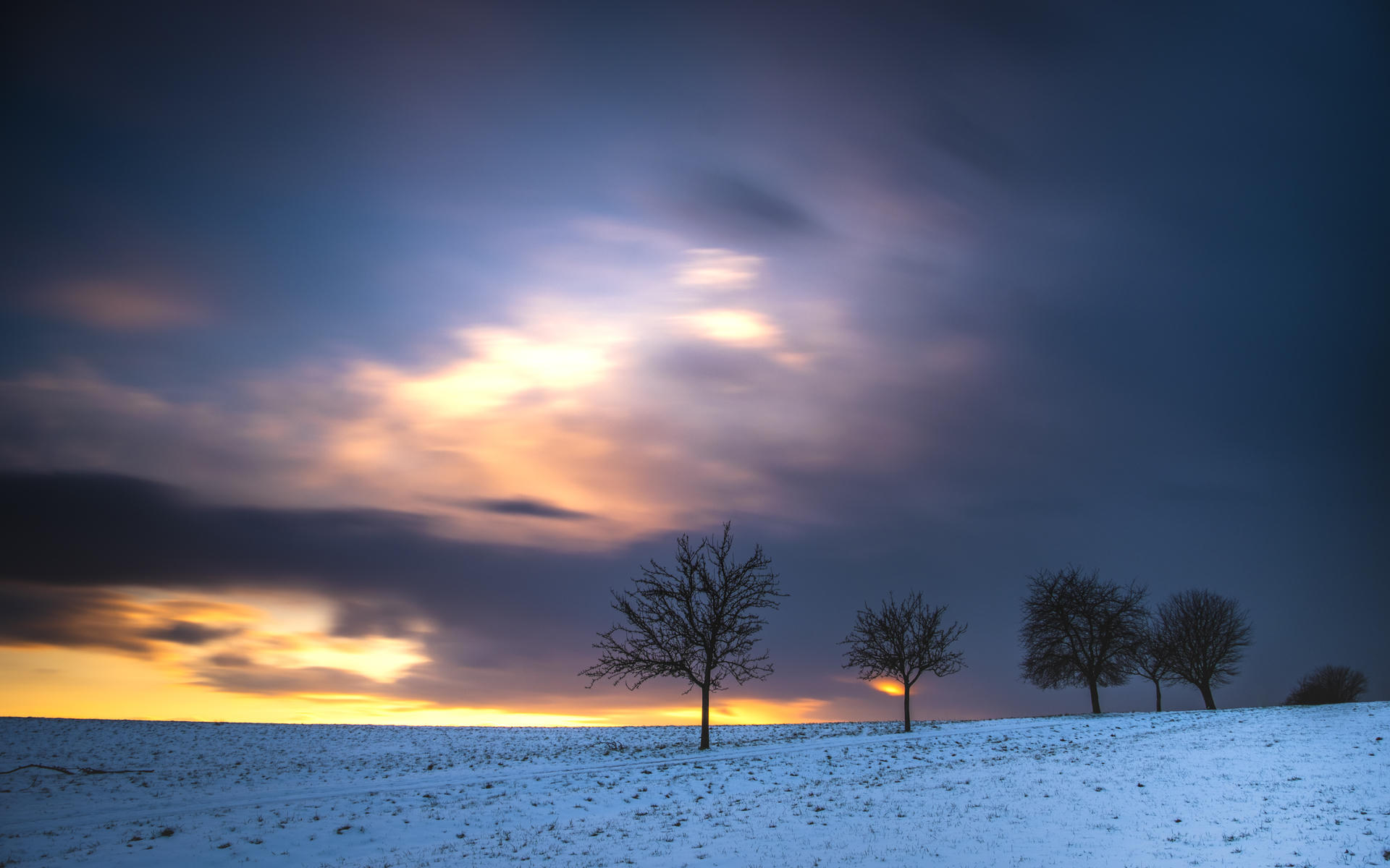 Sunset with three bare trees on a snowy hill.