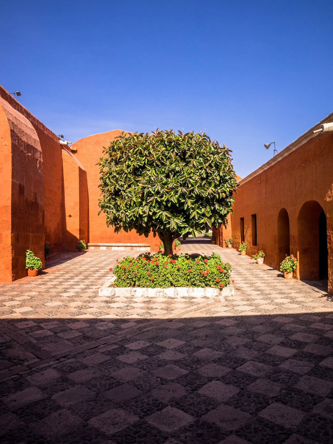 Courtyard with large tree, orange walls, arches, potted plants, and stone tiles under clear blue sky.