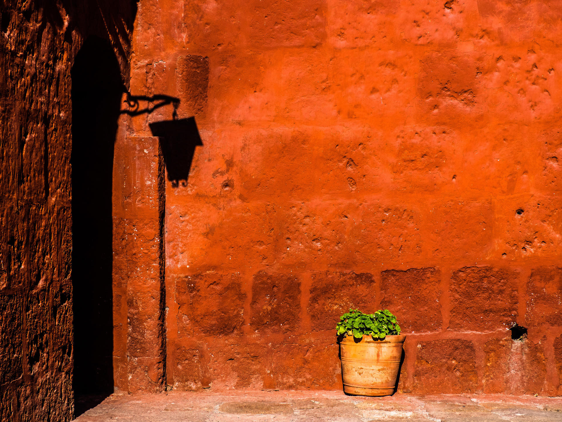 A terracotta wall with a black lamp mounted, casting shadow, and a potted plant at its base.