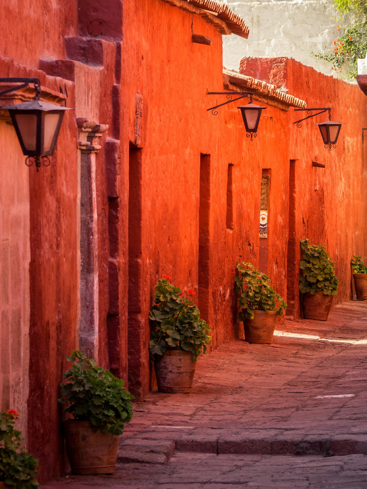 Bright orange building facade with potted plants lining a cobblestone path, hanging lanterns.